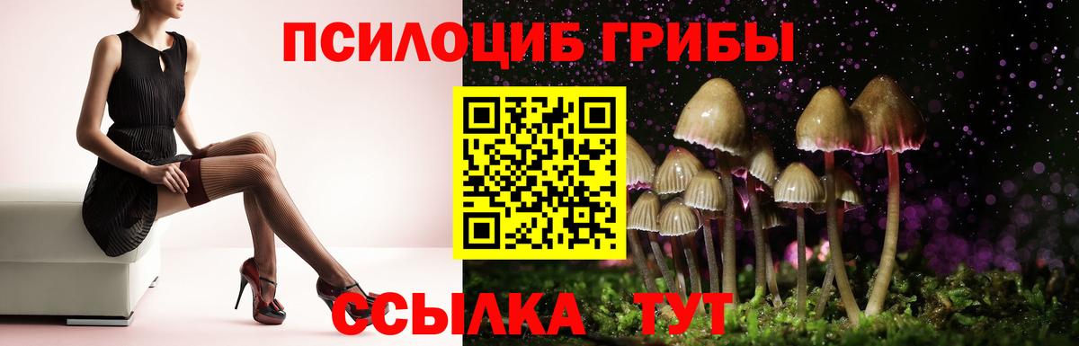 Кимры  Галлюциногенные грибы Psilocybe  Вход с VPN 